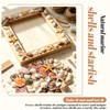 Griwuut 16 Kinds Natural Sea Shell, Mixed Ocean Shells Set