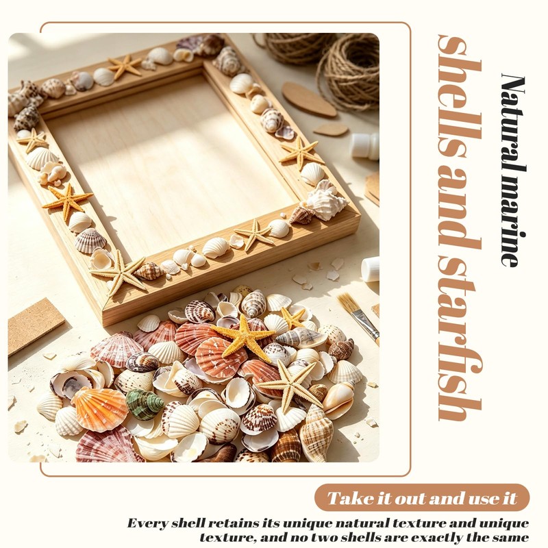 Griwuut 16 Kinds Natural Sea Shell, Mixed Ocean Shells Set