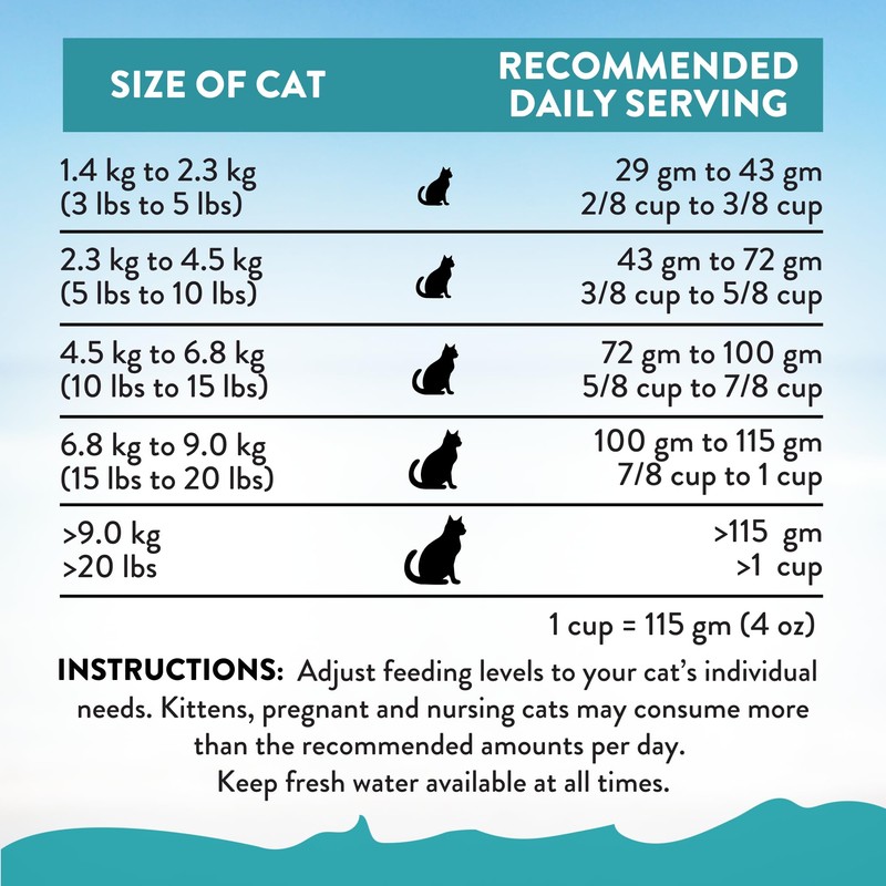 Addiction Salmon Bleu Grain-Free Dry Cat Food – Rich in