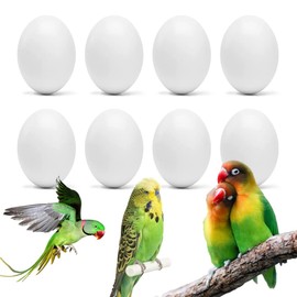 8Pcs Fake Bird Eggs, Stop Egg Laying fit Bourkes Parrot, Lovebird, Lineolated Parakeet, English Show Budgie Artificial Eggs 18mm*25mm