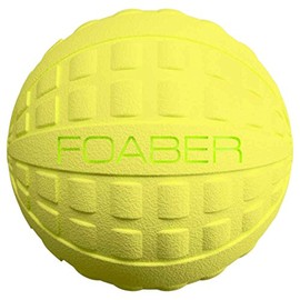 Foaber Bounce Dog Toy, Medium, Blue
