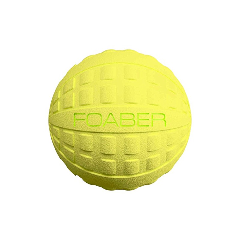 Foaber Bounce Dog Toy, Medium, Blue