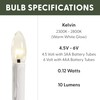 612 Vermont Programmable Ultra-Bright LED Window Candle Replacement Bulbs for