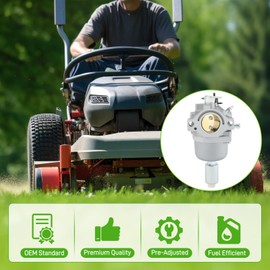 D100 D110 Carburetor for John Deere LA115 LA105 LA110 Troy Bilt Pony 42-in Riding Lawn Tractor 13WM77KS011 13WN77BS011, with 796031 Air filter Tune Up Kit