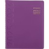 AT-A-GLANCE AT A GLANCE Purple Academic Planner July 2025 to