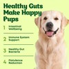 Dog Probiotic Chews Gut Health & Digestive Function Support Anti
