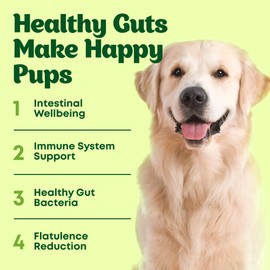 Dog Probiotic Chews Gut Health & Digestive Function Support Anti Diarrhea Upset Stomach & Gas Relief Yeast Balance Allergies & Itching Prebiotic Supplement Chews - 120 pcs