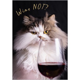 Abacus Cards Funny Birthday Card - Happy Birthday Card with Humorous 'Wine Not?' Fluffy Cat Design and Embossed Foil Details - Birthday Card for Women, Men, Friends