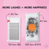 Eyesy Lash 500 Promade Fans | 8D 0.05 Size 10