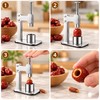 Stainless Steel Fruit Corer for Easy Pit Removal – Manual