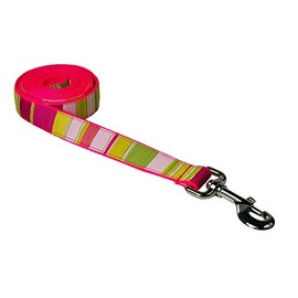 Sassy Dog Wear Dog Leash