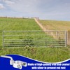 MorningRo 4 Pcs Farm Gate Hinge Set 5/8'' x 2''