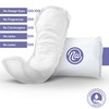 Nexwear Incontinence Pads for Women, Skin-Safe Design, Ultimate Absorbency Bladder