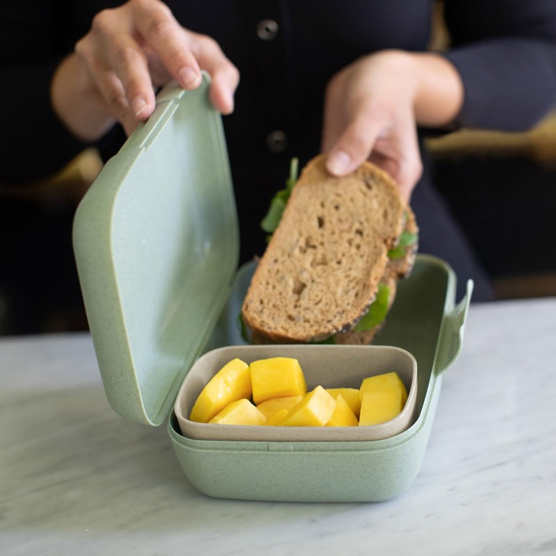 KOZIOL Rex Lunch Box