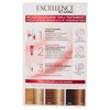 Excellence N.8.1 Hair Dyes