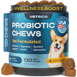 Probiotics for Dogs - Dog Probiotic Chews for Digestive and Gut Health, Dental, Immune System Support - Chewable Prebiotic Soft Treats - Wild Yam, Yeast Powder - Diarrhea and Bowel Support Supplement
