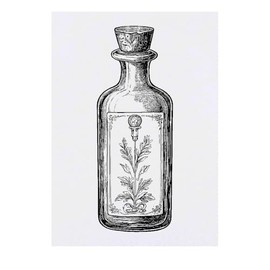 'Antique Bottle' Temporary Tattoo - Water Resistant, Skin-Safe, Non-Toxic Transfer (TO00083725)