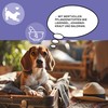 Animaux – Daily Balance for Dogs Herbal Support for Peace