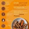 Naturecan Active Turmeric Capsules with Vitamin D3 Contains 500 mg