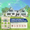 Mouse Repellent Balls, Peppermint Oil Rodent Repellent, Indoor Rodent Deterrent,