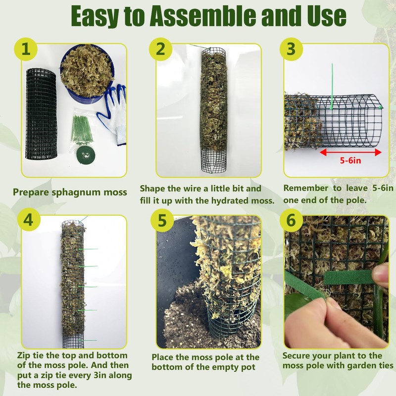 6 Pack Metal Moss Pole, 40"/24"/15" Moss Poles for Plants