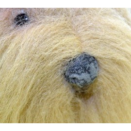 Aux Nations Vintage Aux Nations Plush Sitting Yorkshire-12"H