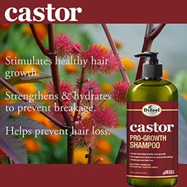 Difeel Champú Castor Pro-Growth 33.8 oz. - Fabricado con aceite de ricino natural para el crecimiento del cabello, champú sin sulfato.