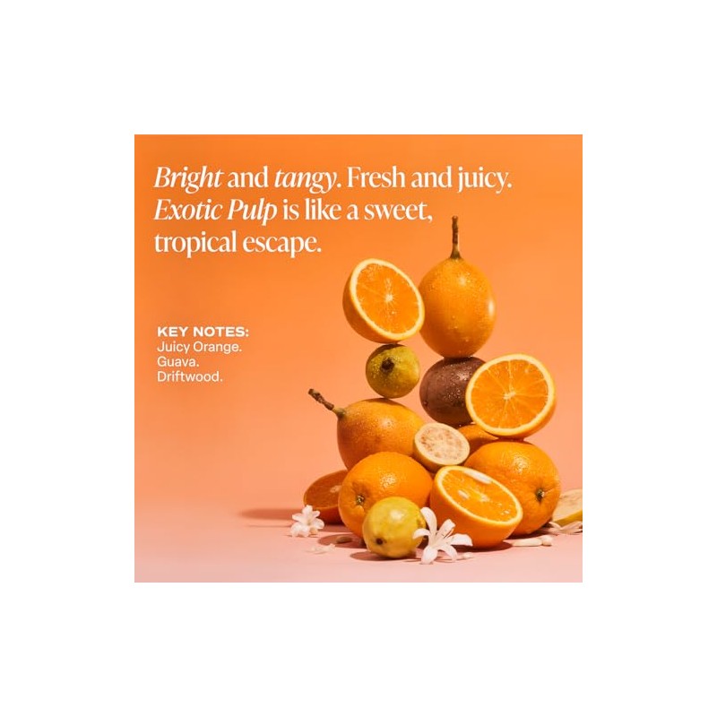 Saltair Skincare Deodorant - Aluminum-Free Deodorant for Women with Long