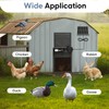 Large Automatic Chicken Coop Door, Aluminum Automatic Chicken Door with