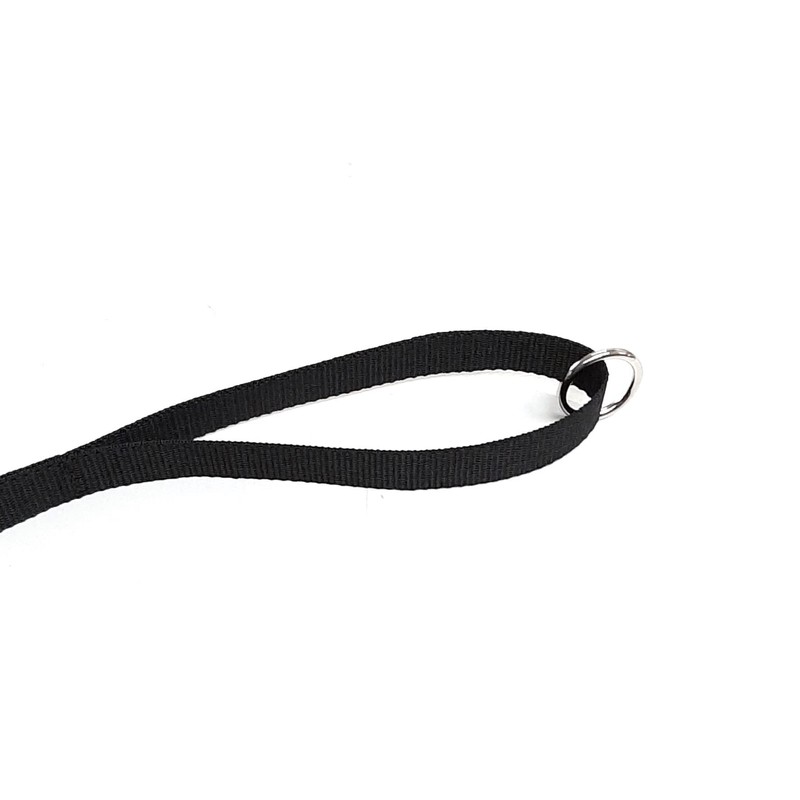 15ft 4.5m Long Dog Training Lead Obedience Recall Tracking Leash