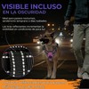 No Pull Harness for Medium Large Dogs, No Escape Harness