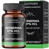Quotidien | Berberina HCL 97% | 500mg de Berberina Clorhidrato,