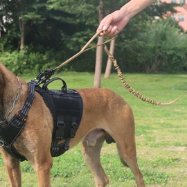 ICEFANG Tactical Dog Leash,K9 Training Walking Bungee Lead with 2 Control Handle,Heavy Duty Quick Release Metal Clasp,Hands Free D-Ring for Medium Large Dogs (6ft,Brown)