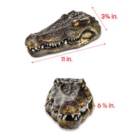 11" Fake Alligator Head Pool Float Blue Heron Decoy for Ponds, and Water Features by Trademark Innovations