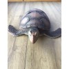 Maestro Roshi De Goku En Tortuga