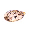 ANCLLO 2 x Banana Clip Hair Comb Round Girls Ponytail