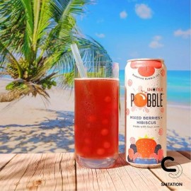 Inotea Mixed Berry Hibiscus Ready-to-Drink Tea 16.6 fl oz (Pack of 12)