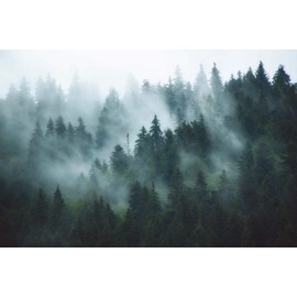 YISURE Misty Forest Tapestry, Foggy Tree Wall Hanging Tapestries Nature Pine Woodland Wall Art for Bedroom Living Room, 80‘’W x 60''L