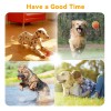 Ptlsy Automatic Dog Ball Launcher Interactive Puppy Pet Ball Indoor