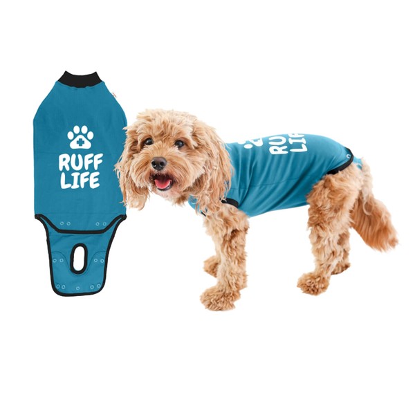 BellyGuard - Dog Recovery Suit, Post Surgery Dog Onesie for