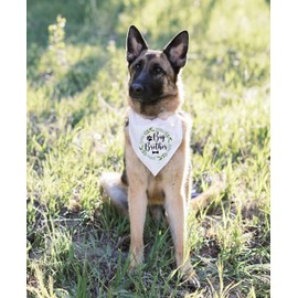 Funny Flower Pattern Plaid Big Brother Pet Dog Bandana, Pet Dog Announcement Gender Reveal Photo Prop Triangle Bibs Accessories for Dog Lovers Owner Present (White, 42 * 42 * 62cm)