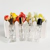 PYAWI 8Pcs 10ml Clear Glass Roller Bottles Mini Roll on