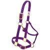 Weaver Leather Miniature Horse Adjustable Chin & Throat Snap Halter,