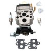 Carburetor For MTD Sears Craftsman McCulloch Blower 316.794990 MT3025 MT30725