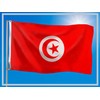 PHENO FLAGS Tunisia Flag - Tunisia Flag 90 x 150