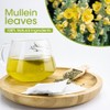 Mullein Leaf Tea, Mullein Tea Bags for Lung Cleanse, Respiratory
