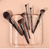 SIXPLUS Master Series Makeup Brushes Set of 11