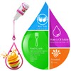 18 Soap Making Scent - Liquid Soap Fragrance Oils Set