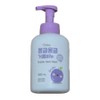 Hmong Hmong Foam Soap Grape Scent, 400ml, 2 Pieces / 몽글몽글 거품비누 포도향, 400ml, 2개