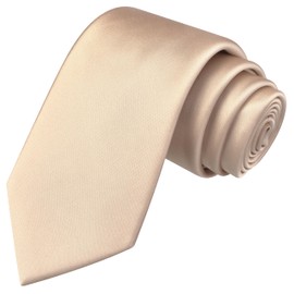 Branduce Champagne Tie Solid Satin Ties for Men Silk Blend Necktie for Wedding Business (TA11-09)